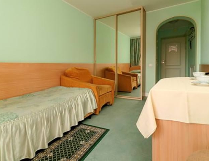 Стандарт 1-местный - Санаторий «Волна»